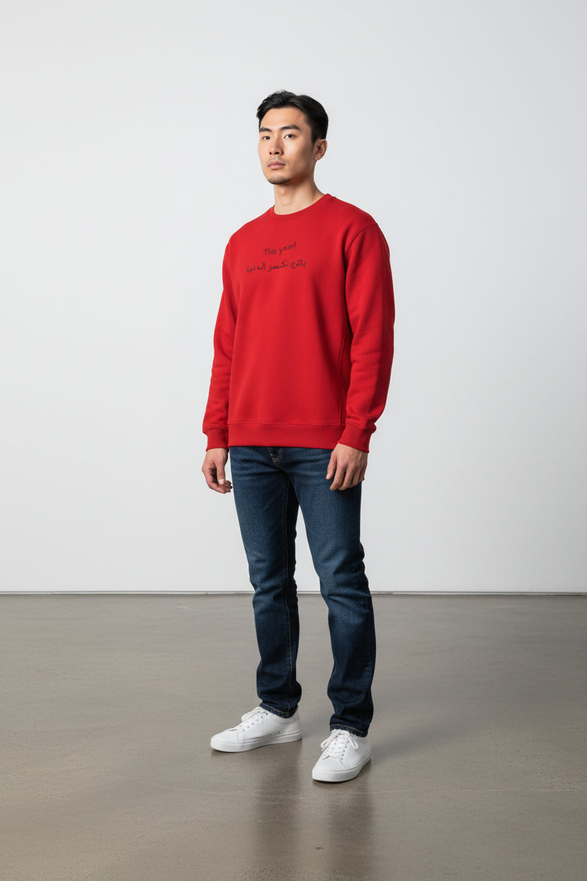 Sweat unisexe - باش نكسر الدنيا